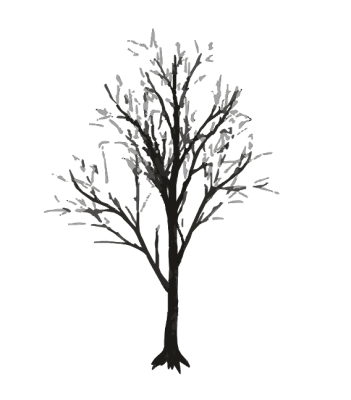 Winter Tree.dwg