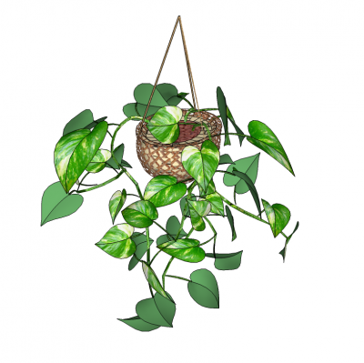 Cesta colgante SketchUp y 3D DWG