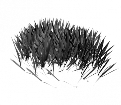 Garden weed 3DS Max model
