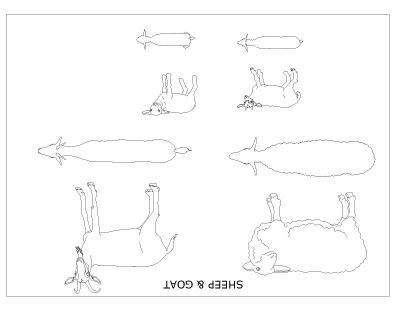 Free AutoCAD 2D Editable Drawings for Animal  Blocks Goats, Sheeps