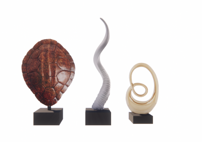 Decoration on table revit family