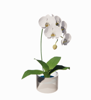 White orchid vase revit family