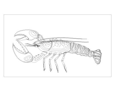 Free AutoCAD Drawing of Fishes are Moving Symbols-5