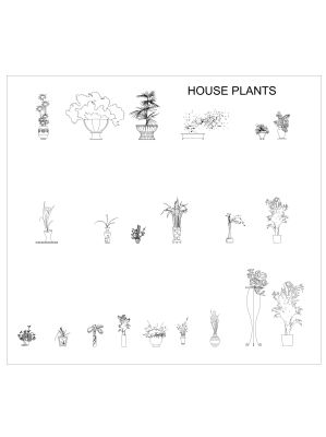 Plant & Planters-6 CAD Block DWG AutoCAD Editable Drawing (Free Download)