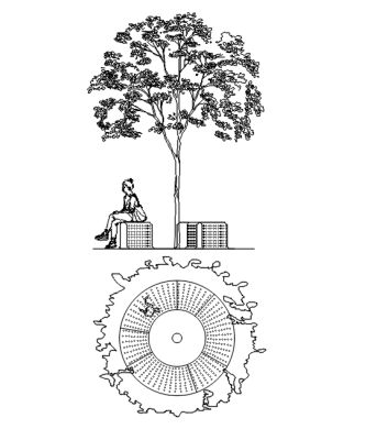 Trees Safety Grills .dwg