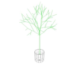 3D Moveable CAD Blocks of Trees .dwg_18