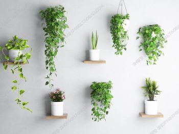 Wall decoration hanging plant 3ds max