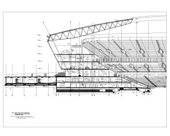 Asian Style Stadium Design .dwg-2