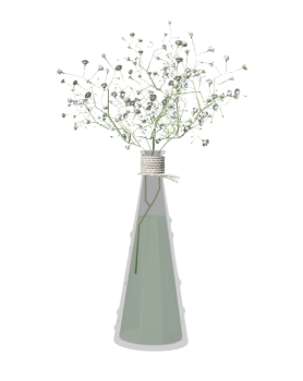 Asteraceae avec vase à eau SKP