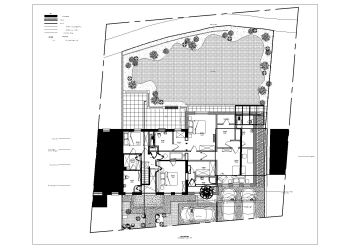 Australian Style Hilly Houses FF Plan .dwg_2