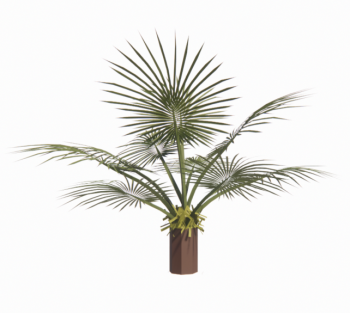 Palm bushes revit family