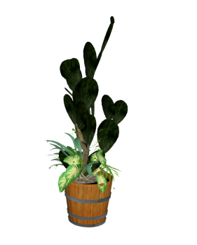Jarrón cactus skp