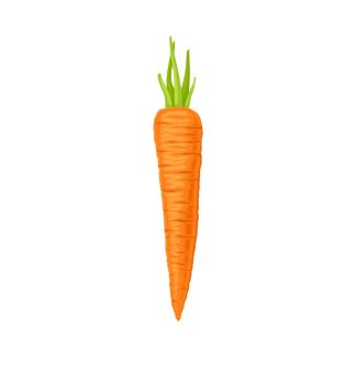 Carrot.dwg