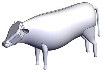 Cow Solidworks