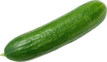 Cucumber.dwg