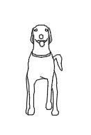 Dog.dwg drawing