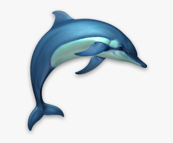 海豚-dwg。