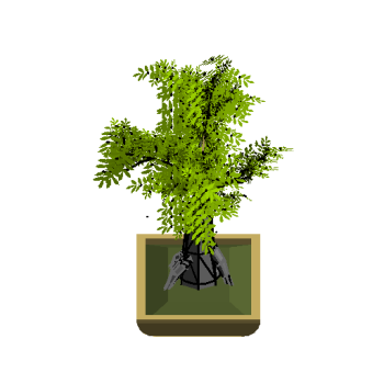 Exquisite bonsai display plant revit family