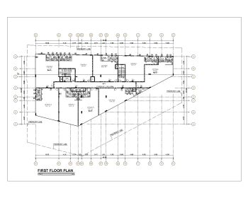 Fire Fighting System First Floor Plan .dwg