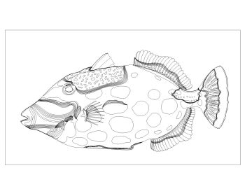Fishes are Moving Symbols .dwg_15