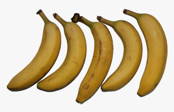 Fruit-banana  dwg. 