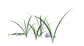 Grass with small stone revit family