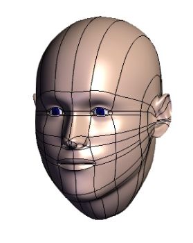 Human Head-1 Solidworks