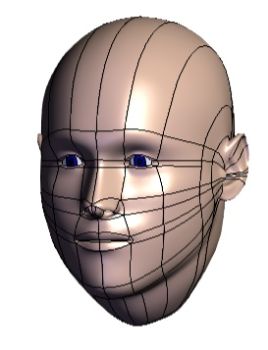 Human Head Solidworks Model