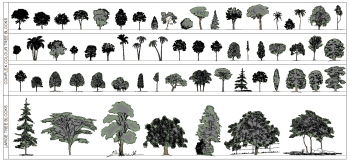Árvores enluaradas - Elevation Collection1