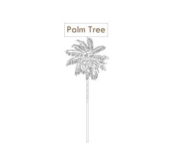 Palm Tree dwg.