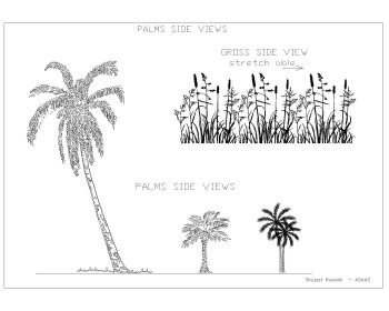 Palms & Gross-002