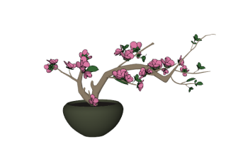 Цветущее персиковое растение skp