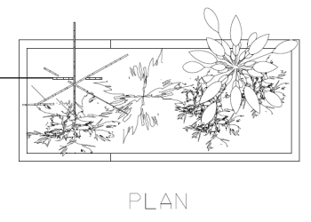 Plant Box per il disegno del cortile 4 dwg