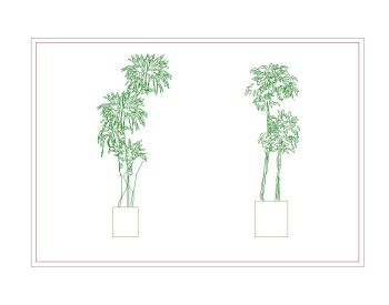 Potted Plant Elevation 05 dwg. 