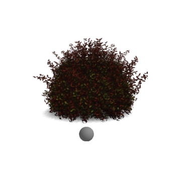 Red leaf heather ball revit family