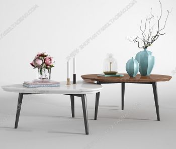 Living room 2 circle tables 3ds max