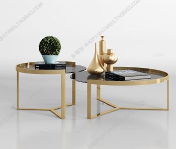 Living room golden frame and dark acrylic table 3ds max