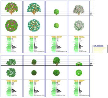 Bloques de arbustos con hojas de datos - Grupo 1