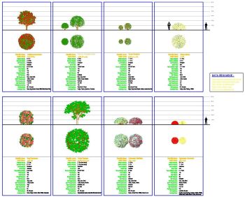 Bloques de arbustos con hojas de datos - Grupo 3