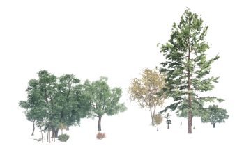 Some tree revit models