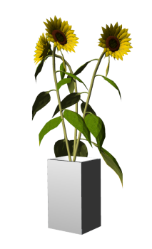 Sun flower vase skp