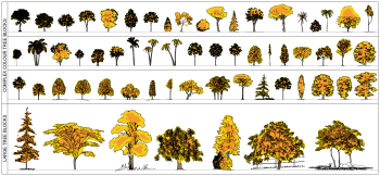 Bäume Elevation - Herbstliche