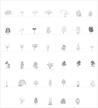Trees elevations 5 CAD collection dwg.