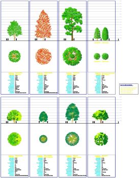 Trees with Datasheets - Group 3