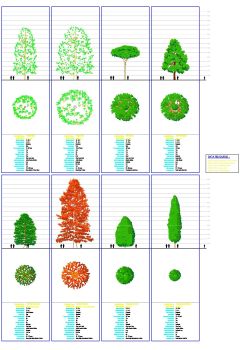 Trees with Datasheets - Group 4