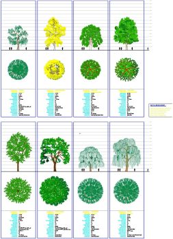 Bäume mit Datenblättern - Gruppe 5