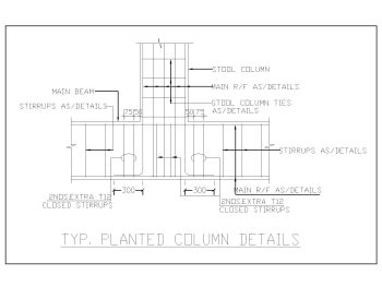Typical Planted Column Details .dwg