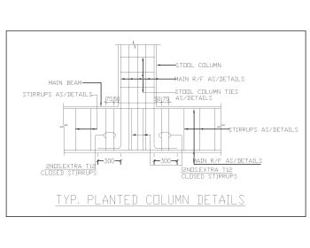 Typical Planted Column Details .dwg