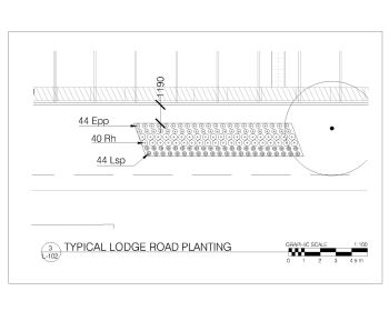 Typical lodge Road Planting .dwg