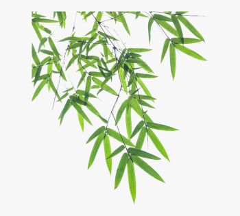 bamboo-leaf dwg. 